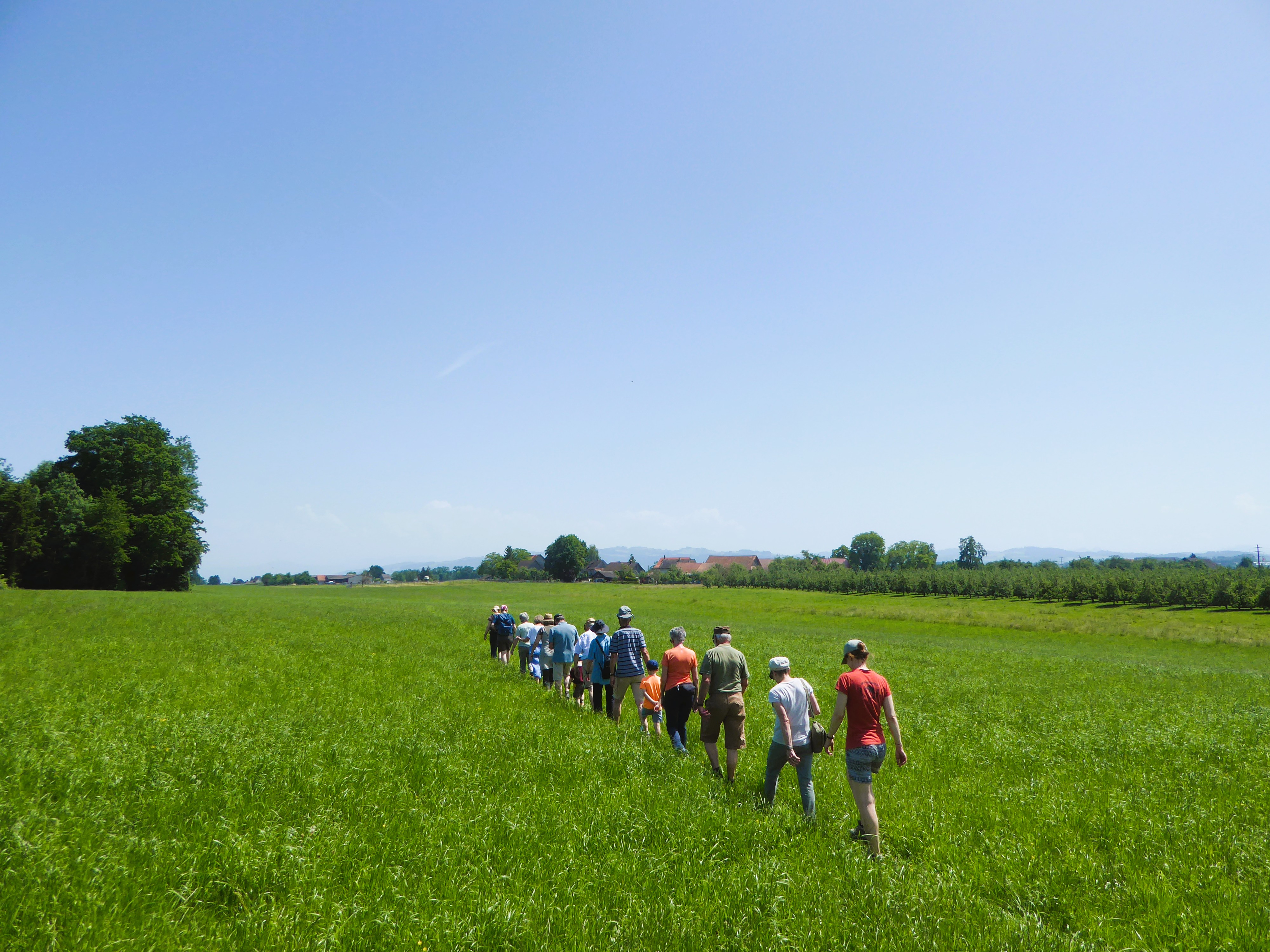 Pfingstwanderung 25. Mai